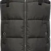 Navahoo Bodywarmers Bodywarmer Dames Grijs