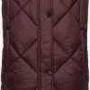 Navahoo Bodywarmers Bodywarmer Schnuckel Dames Bordeaux / Grenadine